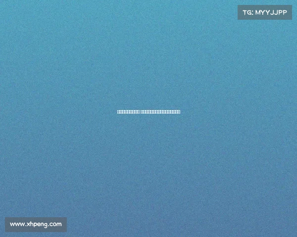 以利华古逊崭露头角 德甲新生力量的崛起与未来潜力分析